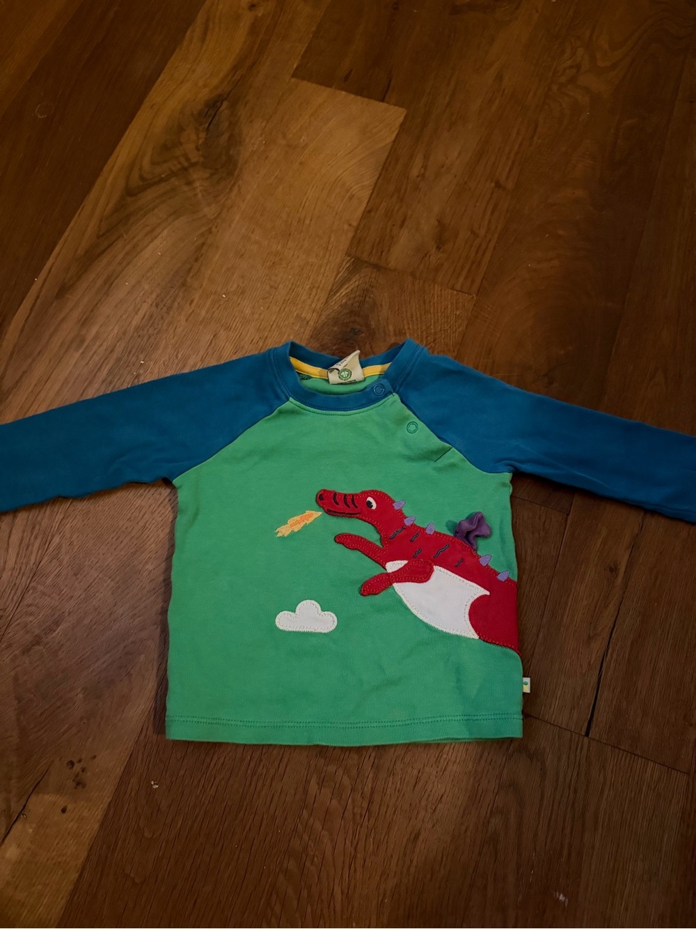 Green & Blue Long-Sleeve Kids Tee with Red Dragon Appliqué